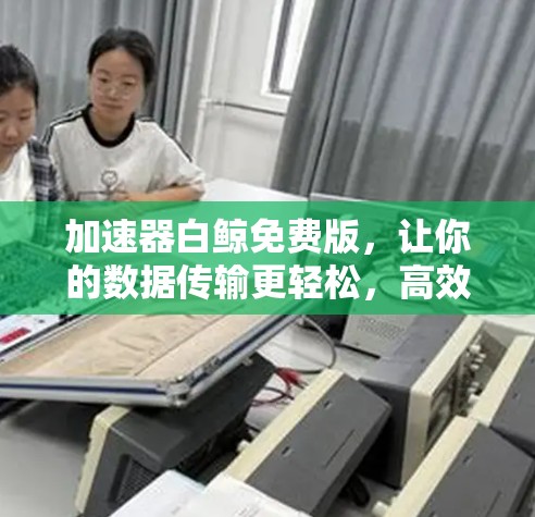 加速器白鲸免费版,让你的数据传输更轻松,高效又可靠! 加速器白鲸免费版,让你的数据传输更轻松,高效又可靠!