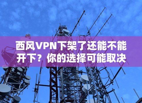 西风VPN下架了还能不能开下？你的选择可能取决于你的网络安全需求、支付方式和流量限制