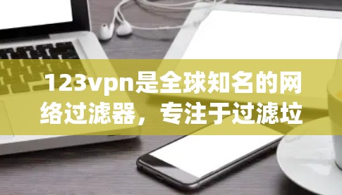 123vpn是全球知名的网络过滤器，专注于过滤垃圾邮件和不明来源的网站。它提供多种设置选项，包括自动过滤、手动设置和手动禁用。以下是关于123vpn加速器的详细介绍