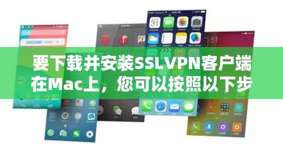要下载并安装SSLVPN客户端在Mac上，您可以按照以下步骤操作