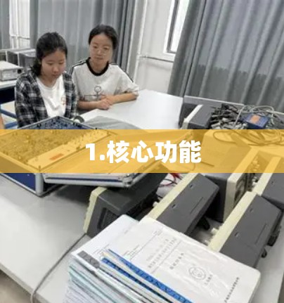 1.核心功能 1.核心功能