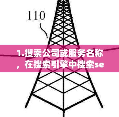 1.搜索公司或服务名称，在搜索引擎中搜索secoway VPN client或secoway VPN下载