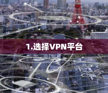 1.选择VPN平台