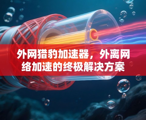 外网猎豹加速器，外离网络加速的终极解决方案