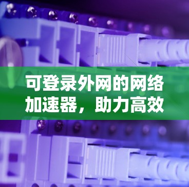 可登录外网的网络加速器，助力高效流量管理