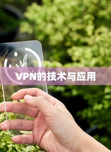 VPN的技术与应用 VPN的技术与应用