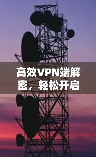 高效VPN端解密，轻松开启远程办公的双保险