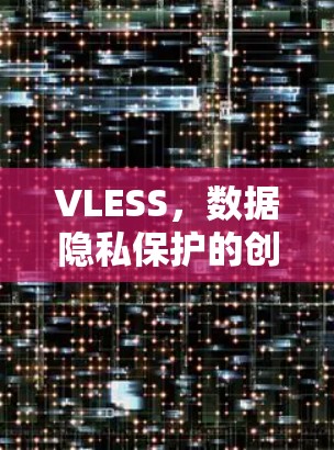 VLESS，数据隐私保护的创新解决方案