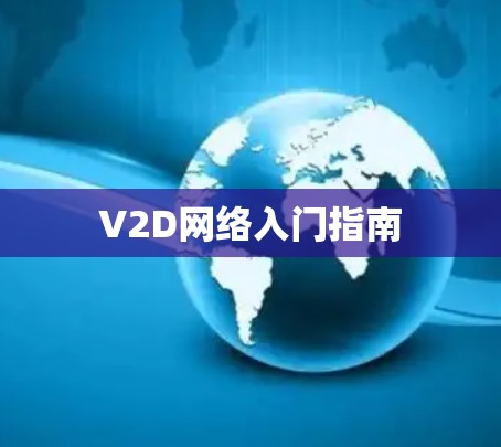 V2D网络入门指南