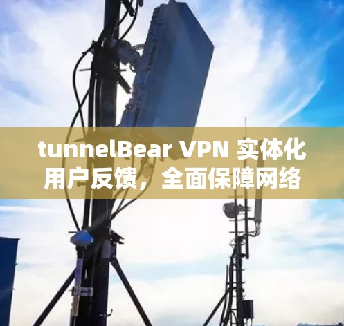 tunnelBear VPN 实体化用户反馈，全面保障网络安全的高效通信解决方案