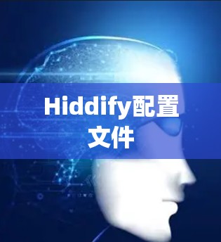 Hiddify配置文件