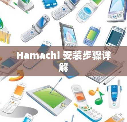 Hamachi 安装步骤详解
