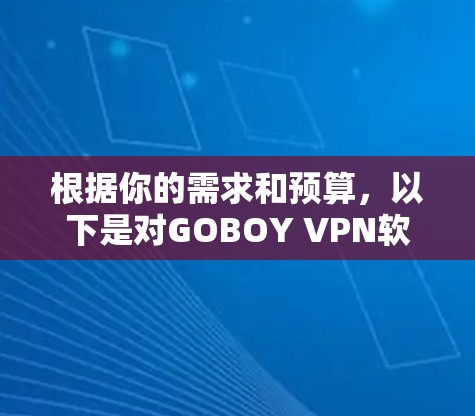 根据你的需求和预算，以下是对GOBOY VPN软件的推荐和建议