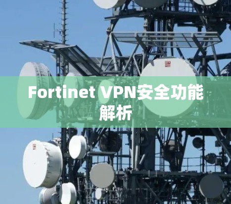 Fortinet VPN安全功能解析 Fortinet VPN安全功能解析