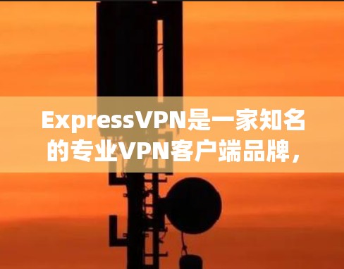 ExpressVPN是一家知名的专业VPN客户端品牌，以其强大的功能、强大的安全性和高效的体验而闻名。以下是关于ExpressVPN专业的VPN客户端的一些关键信息和推荐