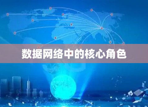 数据网络中的核心角色