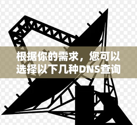 根据你的需求，您可以选择以下几种DNS查询软件，每个软件都有其独特的优势和功能