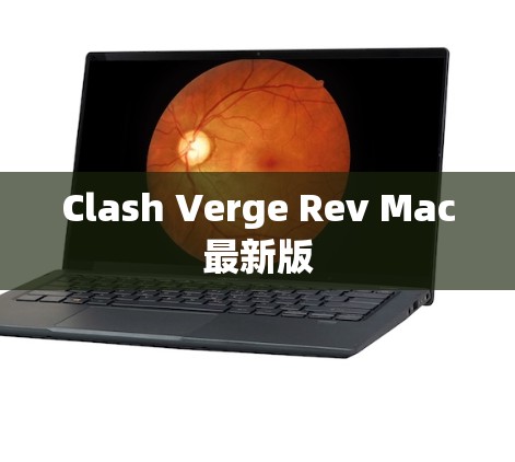 Clash Verge Rev Mac最新版