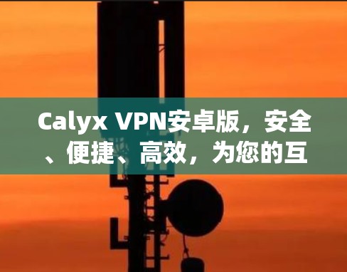 Calyx VPN安卓版，安全、便捷、高效，为您的互联网保驾护航