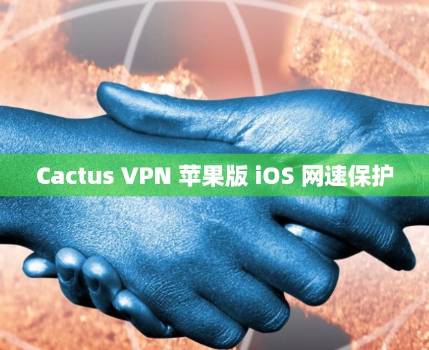 Cactus VPN 苹果版 iOS 网速保护