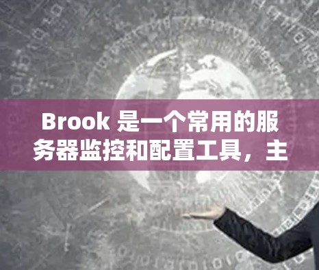 Brook 是一个常用的服务器监控和配置工具，主要用于管理服务器的性能、安全性、网络连接和日志监控等。以下是一些常见的Brook 设置步骤和注意事项