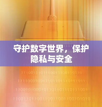 守护数字世界，保护隐私与安全
