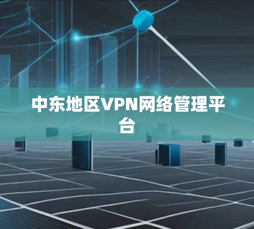 中东地区VPN网络管理平台