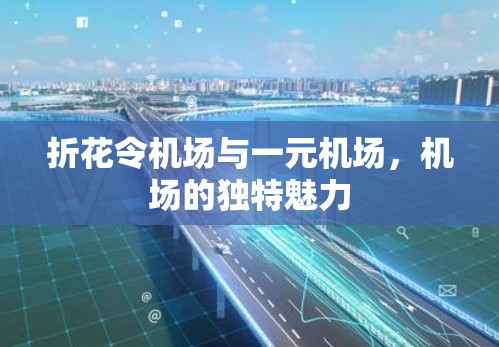 折花令机场与一元机场，机场的独特魅力