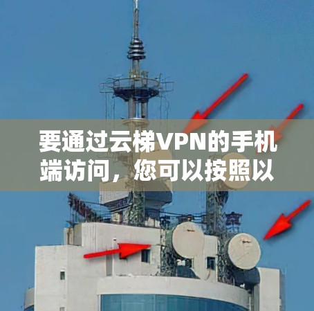 要通过云梯VPN的手机端访问，您可以按照以下步骤操作