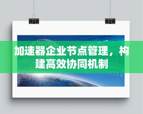 加速器企业节点管理，构建高效协同机制