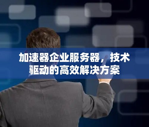 加速器企业服务器，技术驱动的高效解决方案