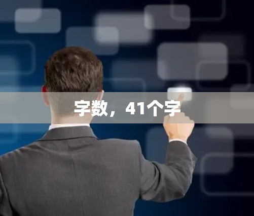 字数，41个字